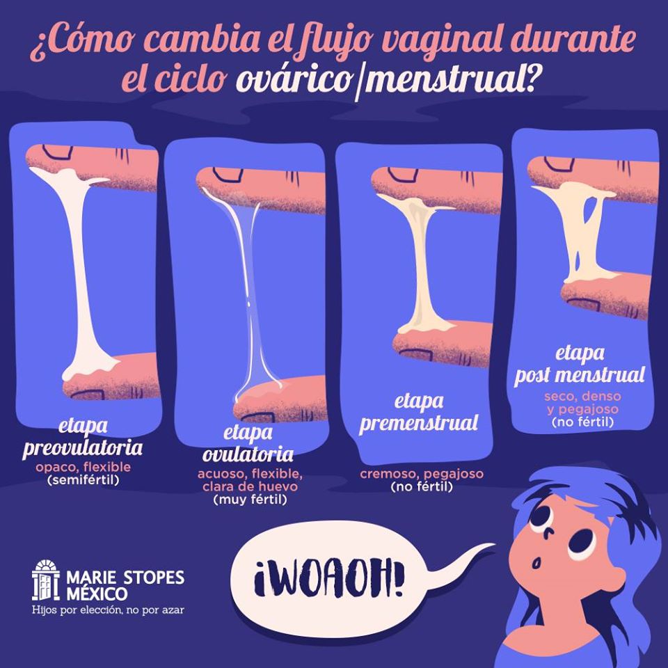 Siempre tienes flujo vaginal.