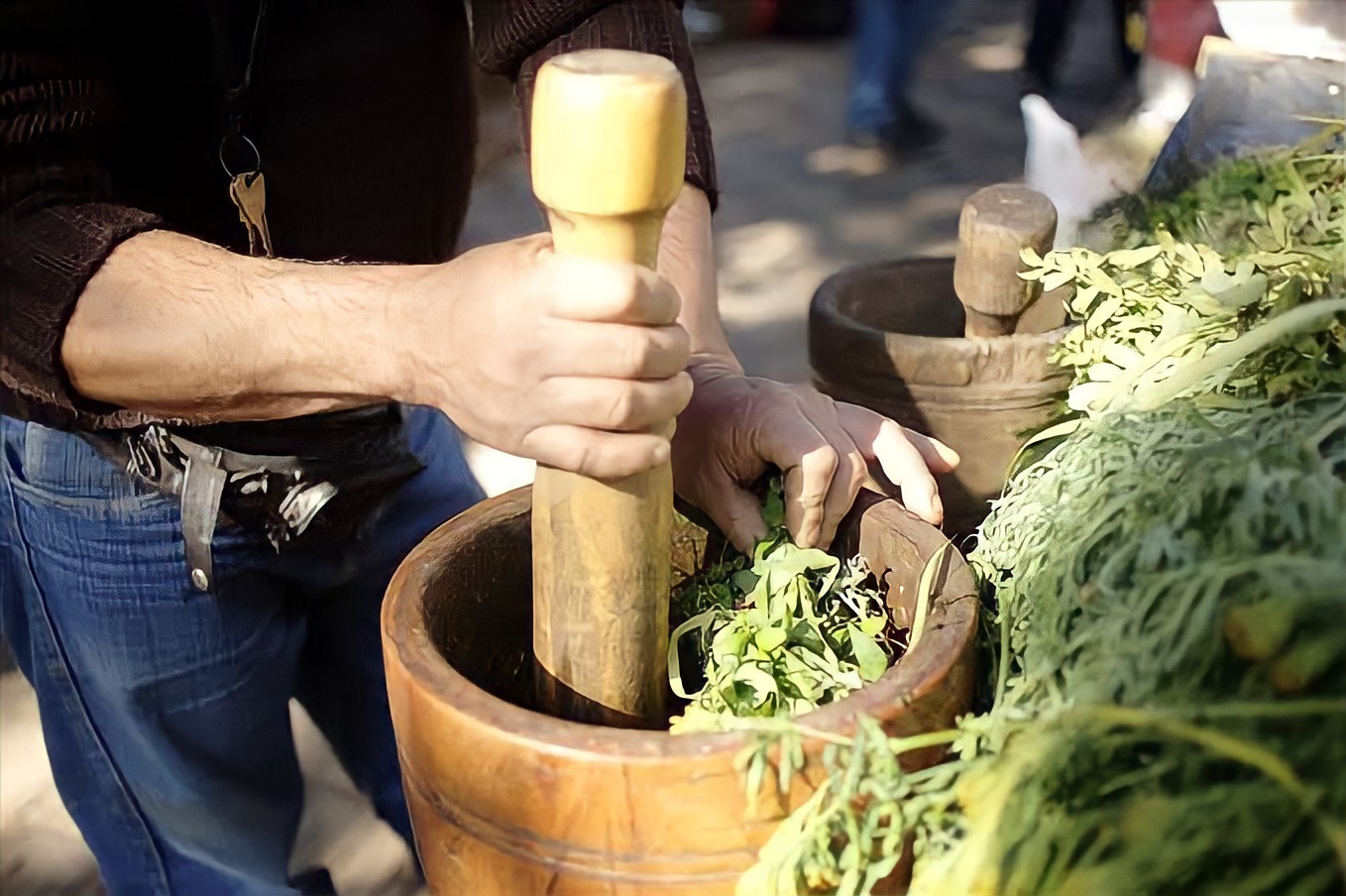 Plantas abortivas, ¿efectivas o peligrosas?