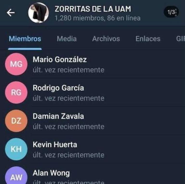 «Zorritas UAM» constante violencia contra mujeres