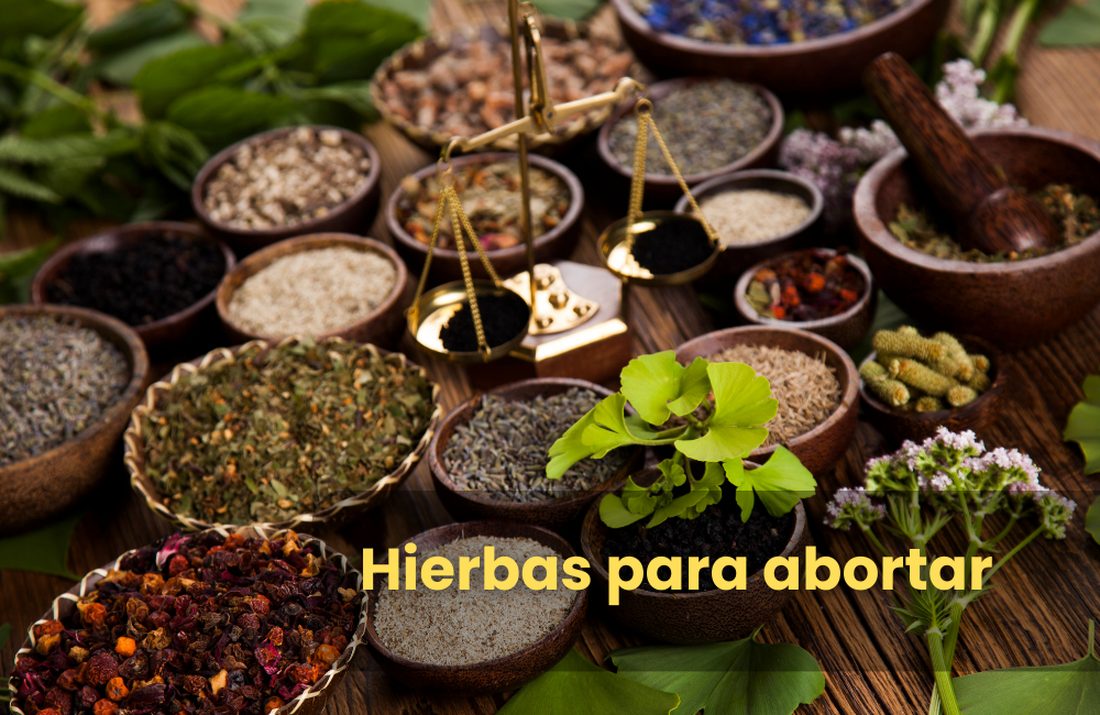 Hierbas para abortar