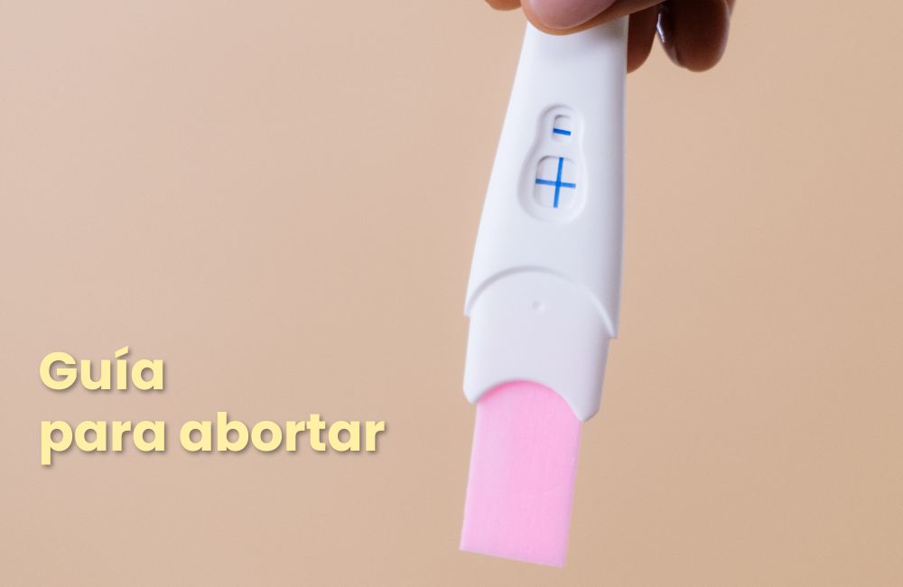 Guía para abortar